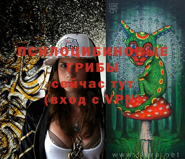 спиды Михайлов