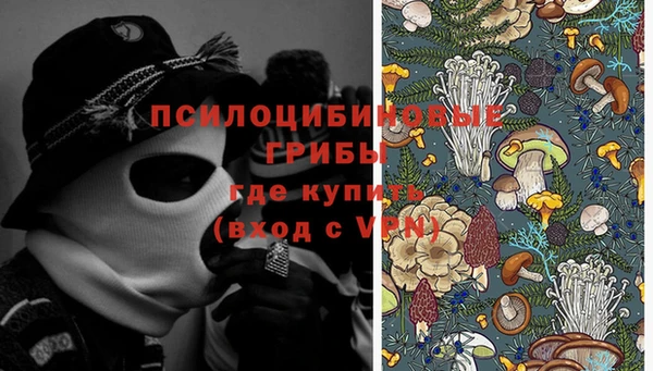 спиды Михайлов